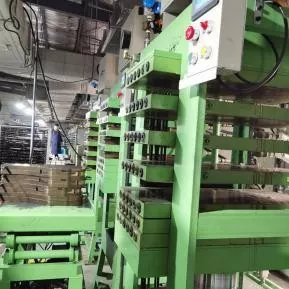 Molding Process
